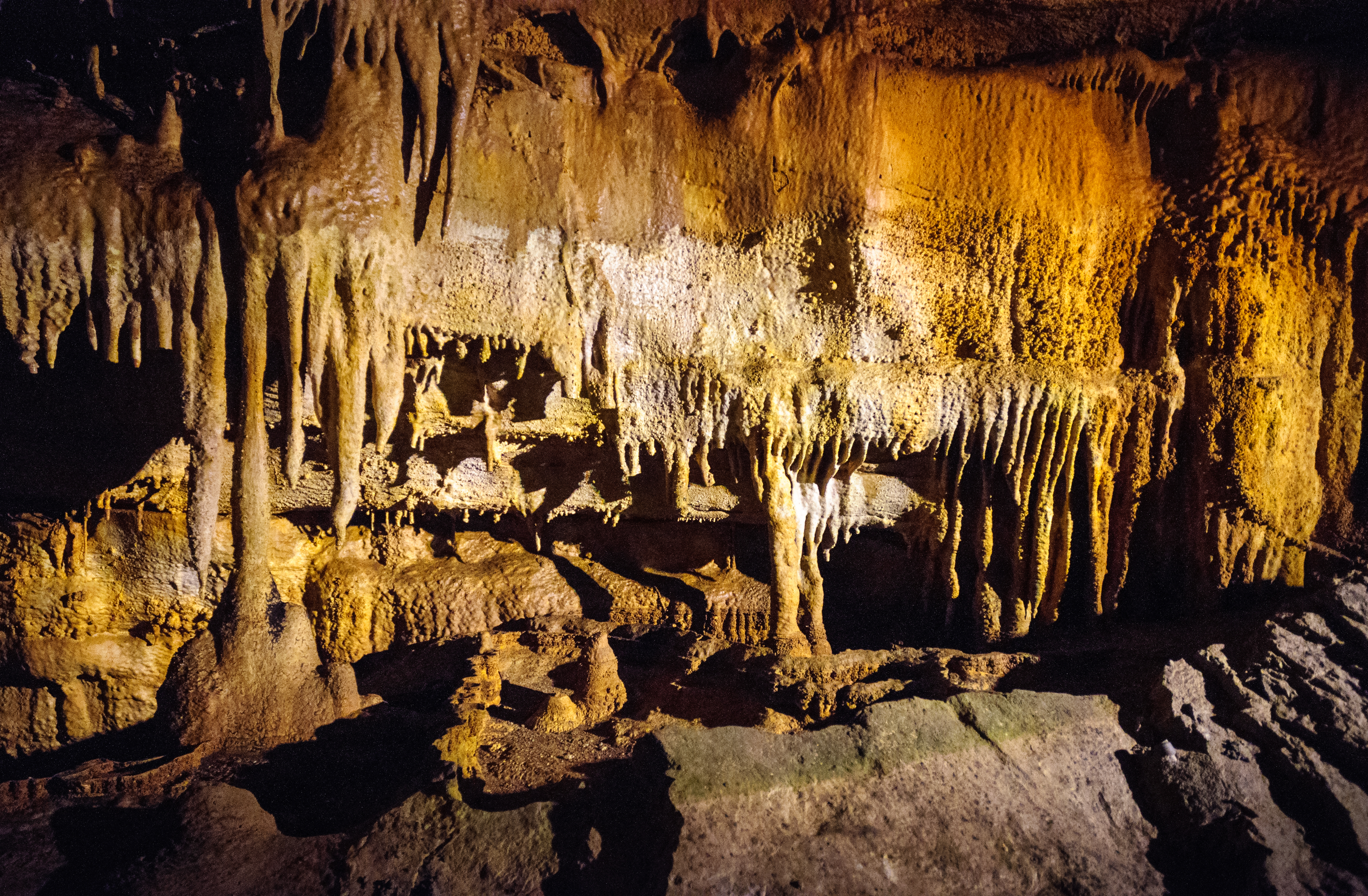 Мамонтова пещера в северной америке. Национальный парк Мамонтова пещера. Мамонтова пещера Кентукки. Пещера мамонта Кентукки.