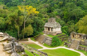 Maya discovery
